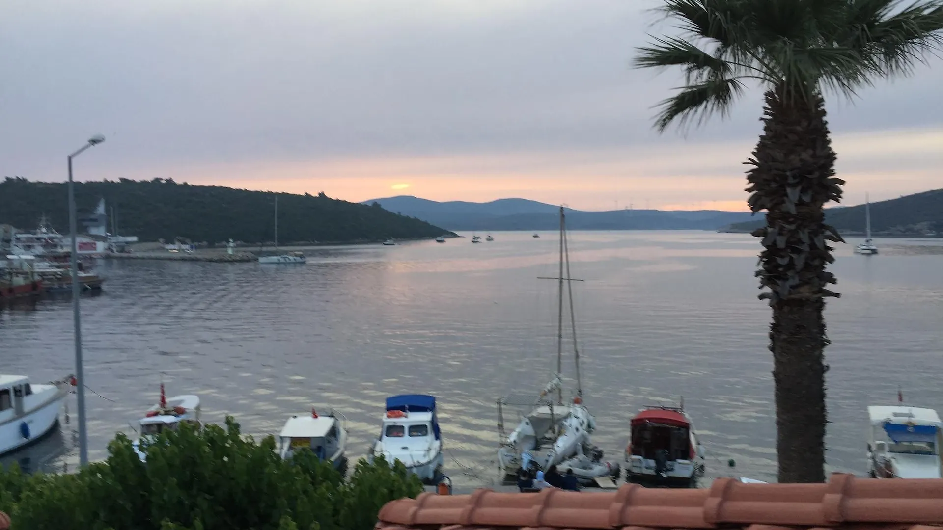 Teos Lodge Pansiyon Siğacık