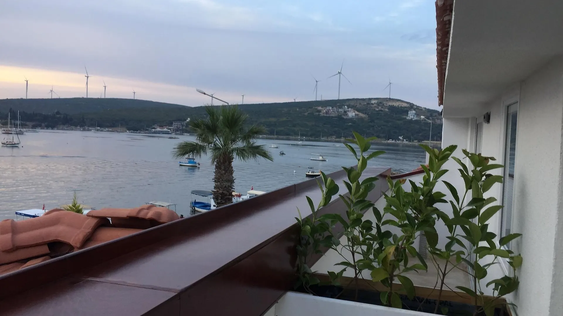 Teos Lodge Pansiyon Siğacık